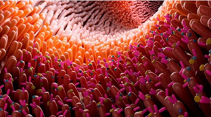 Une image contenant barrière de corail, anémone de mer

Description générée automatiquement