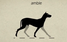 Une image contenant silhouette, chien, croquis, dessin

Description générée automatiquement