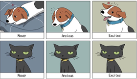 Une image contenant chat, mammifère, dessin humoristique, Dessin animé

Description générée automatiquement
