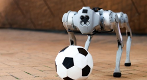 Une image contenant football, jouet, balle, sol

Description générée automatiquement