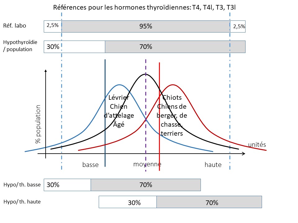 hormones thyroidiennes- interprtation