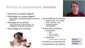 nutrition comportement