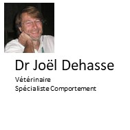 Dr Joel Dehasse